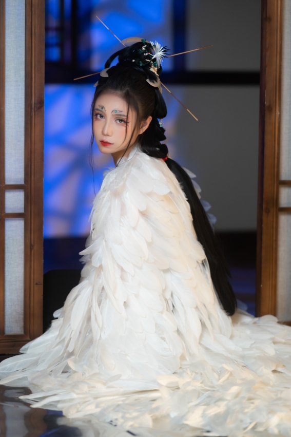 贰加六写真合集下载:探索中国Coser贰加六的60+套高质量Cosplay作品与视觉魅力【持续更新】