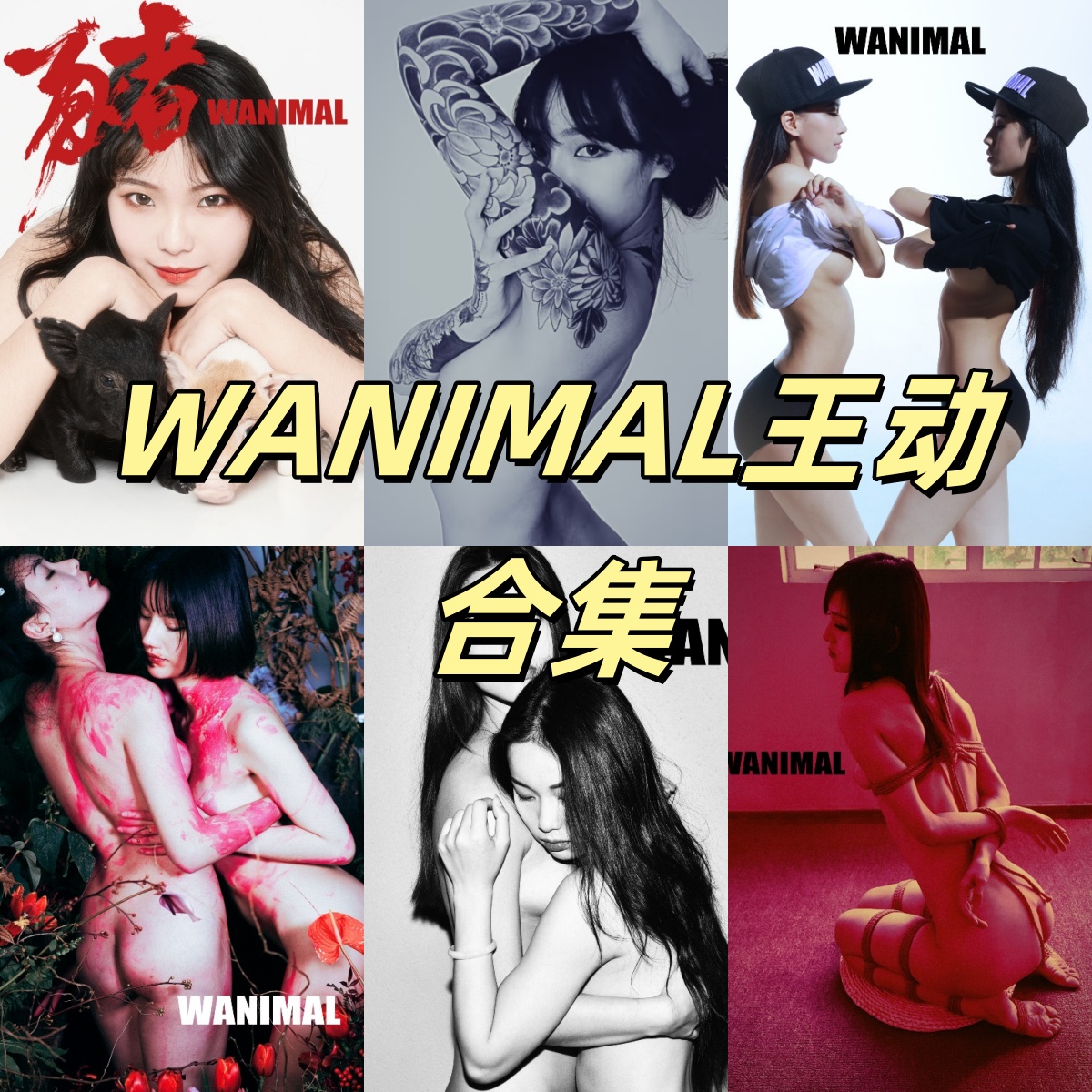 WANIMAL王动系列人体人像作品里的年份脉络和影像感很鲜明也完整